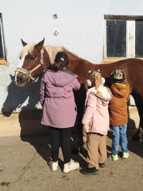 kinder_striegeln_pferd.jpg