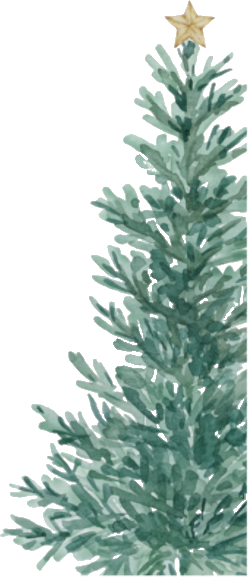 weihnachtsbaum.png